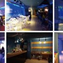 썸피싱카페낚시터 이미지