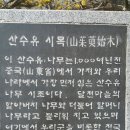 계척시목지 이미지