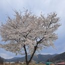 내남농협 하나로마트 이미지