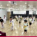 풍진(태권도) 이미지