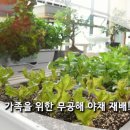 화분들닷컴 이미지