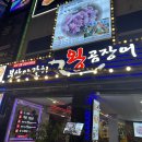 자갈치왕곰장어