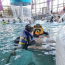 딸부자사우나 이미지