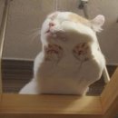 늦잠