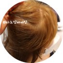 미금 미용실:: 이가자헤어비스 이천일아울렛 미금점
