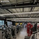 몰리짐 문덕 이미지