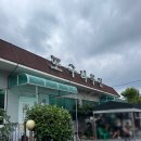 포구나무집 - 김해시 대청계곡길 340 | 양산 호포맛집 웨이팅 많은 메기매운탕이 맛있는 포구나무집 방문후기