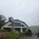 [강원도/춘천] 블루리본 5년연속 맛집 " 라모스버거" 방문 솔직후기