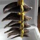 조아굴비