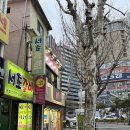 해바라기숯불갈비 | 부산 서초갈비 부전역 고기 맛집 추천 20년 전통 갈비맛집
