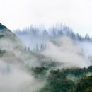 대한경로당 | 주민센터 연계 경로당 수업 참여자 후기와 과목 만족도 분석