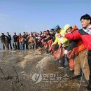 보리와철새 이미지