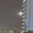 애니콜 호텔 | [일상] 3월 중순 일기