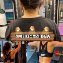 바디 디자인 이미지