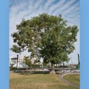 < This Moment : 태국 > 이미지