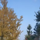 백제고등학교 이미지