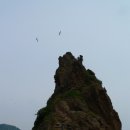 도동3리 촛대바위 Daum카페