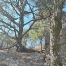 호남정맥 506KM 2부(호남의 물 줄기 위를 걸으며) 이미지