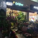 세실플라워 이미지