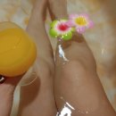 스파아로마 이미지