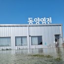 동양염전베이커리카페 ☕ 영종도 을왕리 초대형 베이커리카페
