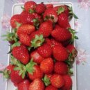 미원초등학교 이미지