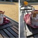 정문 이미지