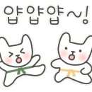 녹명태권도 이미지