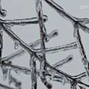 웰빙텔 | 장충동2가고시원 웰빙텔 동국대점 청결한 고시원 추천