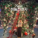 하늘천따지 | 서울근교 여주 하늘천따지 크리스마스 트리 카페 애견동반 주차