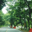 캠프M817 이미지