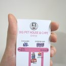 빅펫 이미지