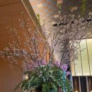 리츠호텔 | 후쿠오카 리츠칼튼 호텔 후기