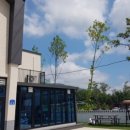 꾸꾸풀빌라 이미지