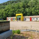단양초등학교