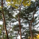 덕동농장 이미지