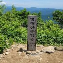 다음매일투어/산악회