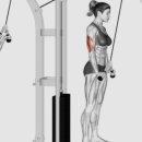 jkj 헬스 이미지