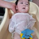 올유리빙 피넛 아기욕조 내돈내산 후기