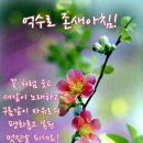 웃으면 돼지 이미지