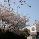 그루상조 이미지