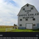 빨간 머리 앤(Anne of Green Gables) 이미지