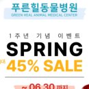 베이직 동물병원 이미지