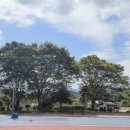 장흥장평중학교 이미지