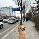 공룡뮤지컬 포켓다이노 | [26.03.14] 리얼공룡쇼 포켓다이노 인천 관람후기