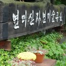 공주커피사랑채