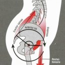 피트니스 럭스 이미지