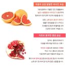 [화장품] [GI Care] 지아이 퍼스트 앰플~끈적임이 없는 앰플