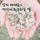 당신이짱 이미지