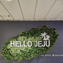 제주도 배편 오션비스타 프리미엄 객실 후기! 숙소처럼 편했던 야간 여행